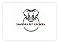 Chandra Tea Factory logo